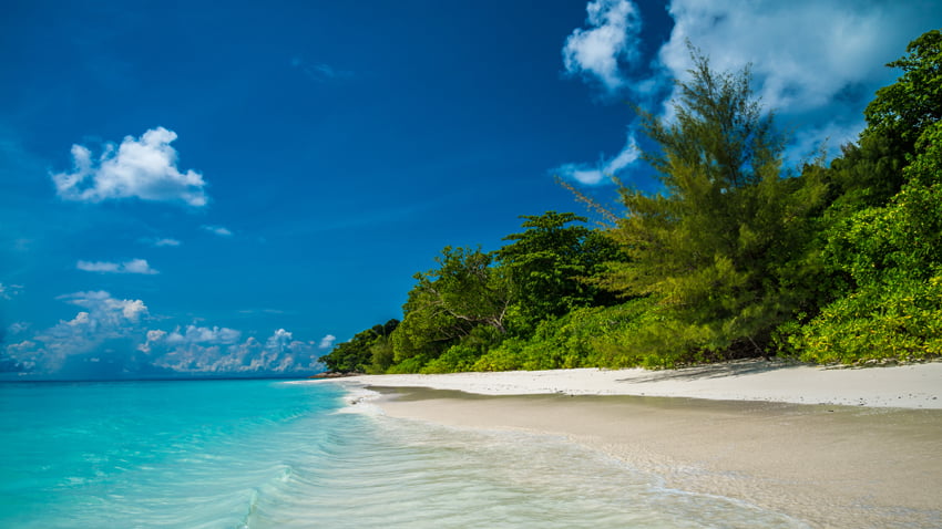 Beautiful white sandy beach with clear blue ocean island