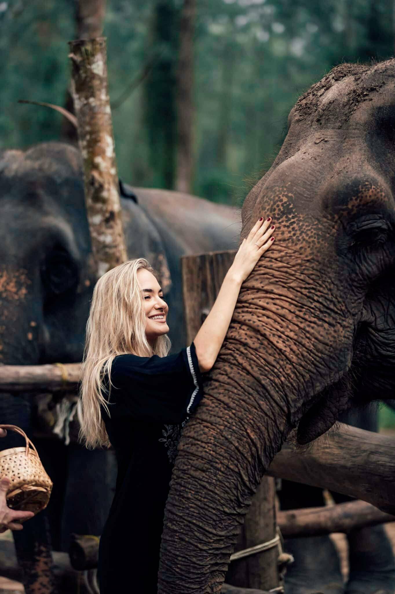 Friendly elephant getting pet by a woman